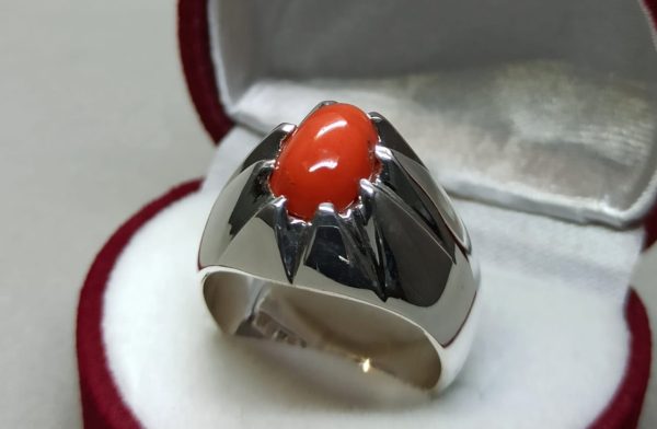 Silver Ring with Brown Stone (RBrS03)
